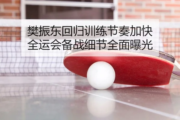 樊振东回归训练节奏加快 全运会备战细节全面曝光