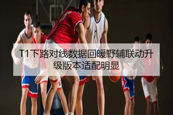 T1下路对线数据回暖野辅联动升级版本适配明显